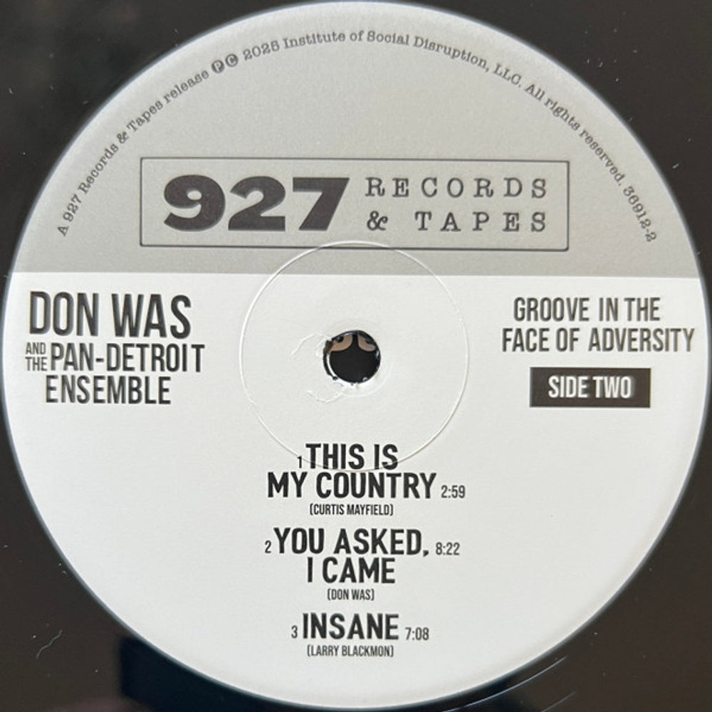 Don Was – Groove In The Face Of Adversity (LP Vinyl) Vinyl Record