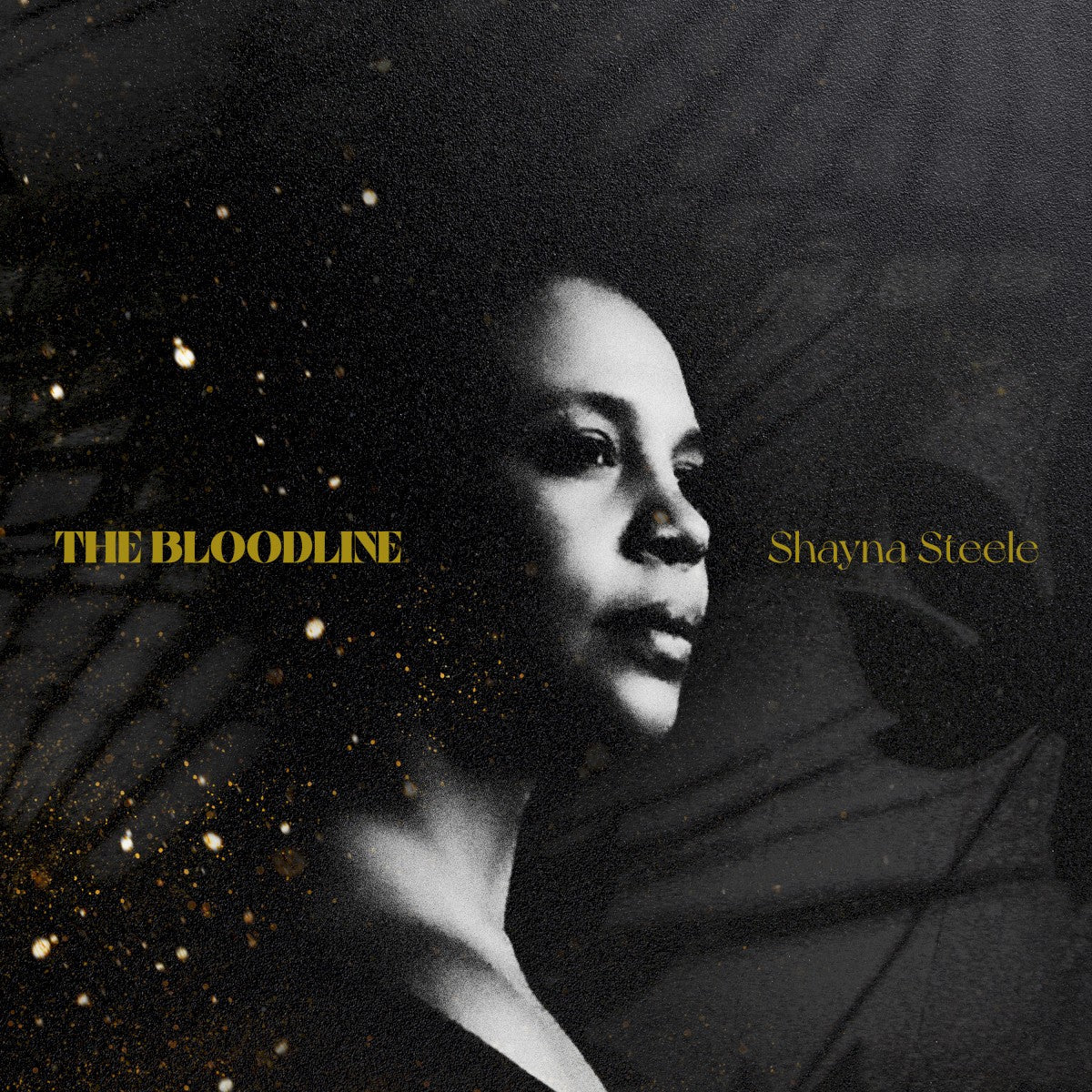Shayna Steele – Gold Dust Music CD