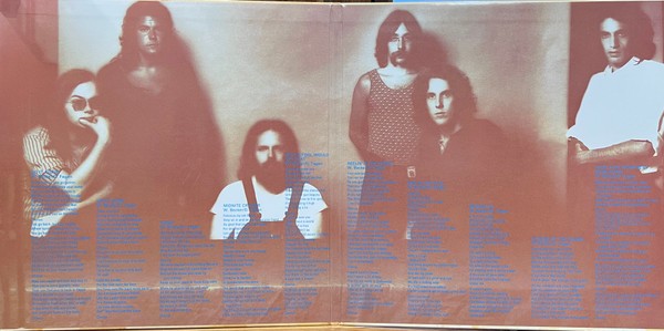 Steely Dan – Can't Buy A Thrill (UHQR 2-LP Vinyl) Vinyl Record