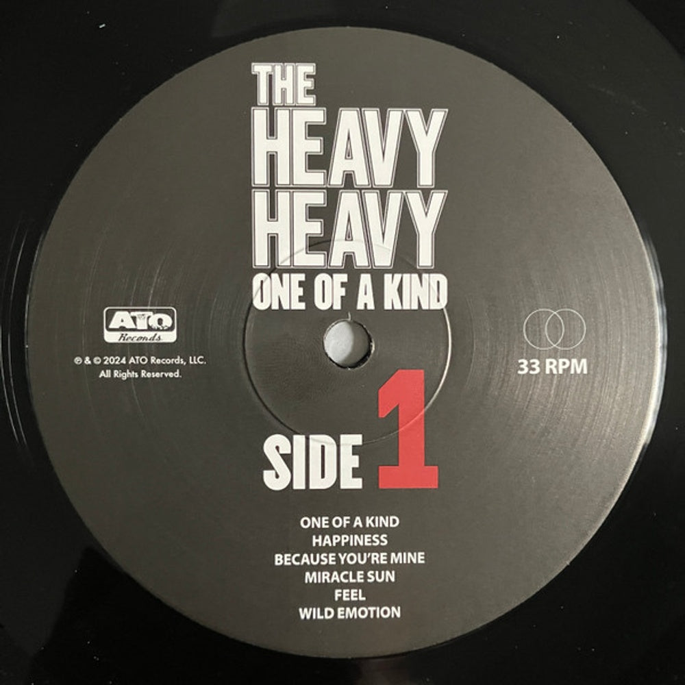 The Heavy Heavy – One Of A Kind (LP Vinyl) Vinyl Record