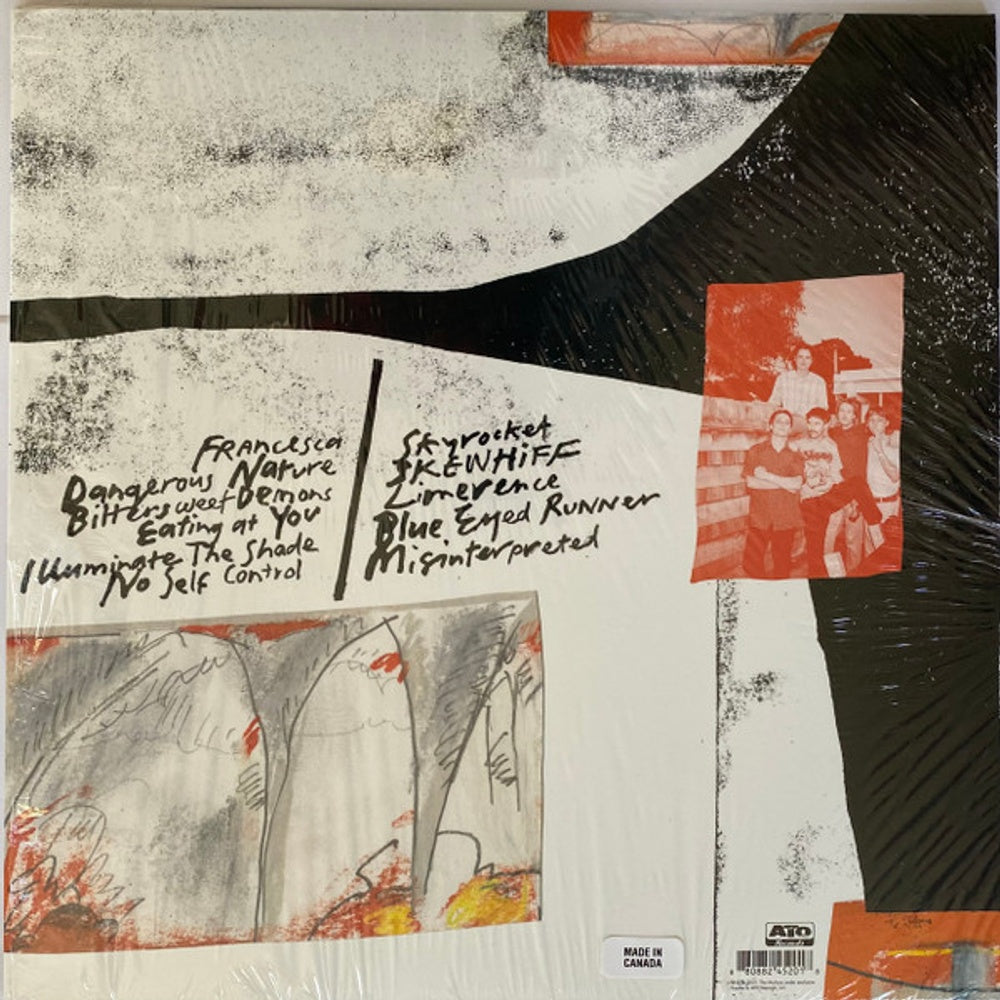 The Murlocs – Bittersweet Demons (LP Vinyl) Vinyl Record