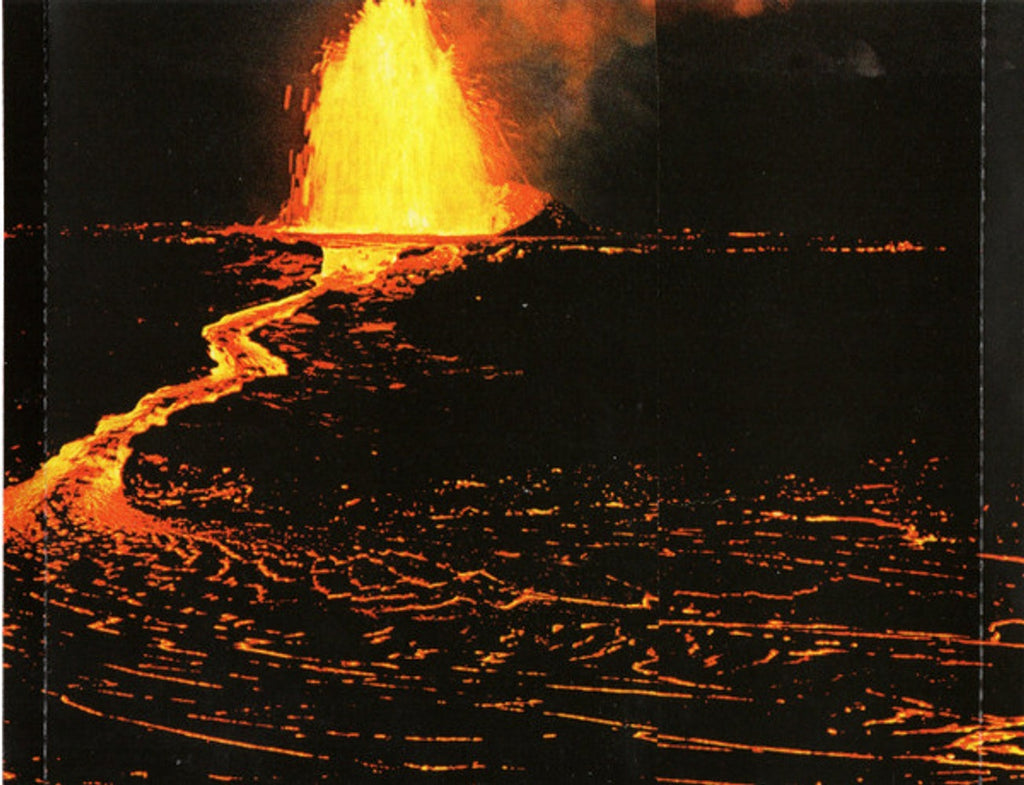 The Thermals – We Disappear Music CD