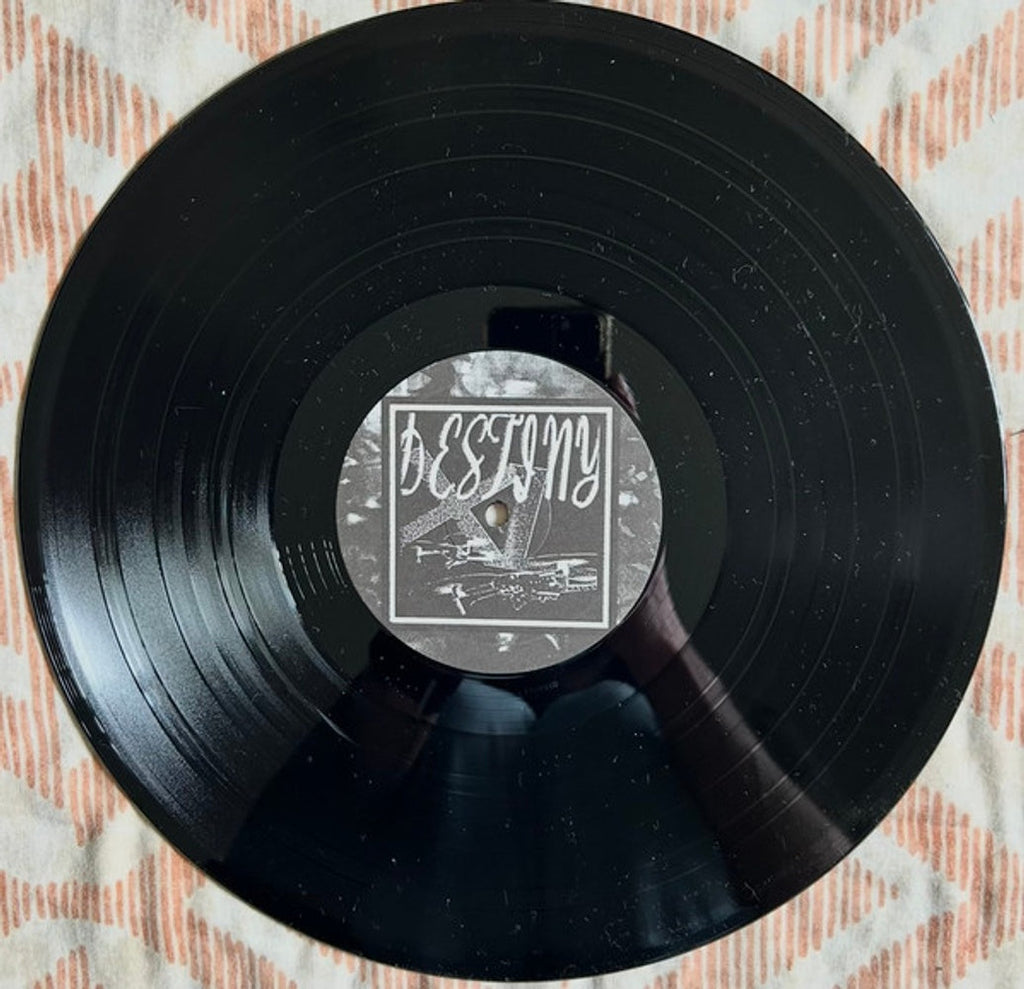 They Are Gutting a Body of Water – Destiny XL (LP Vinyl) Vinyl Record