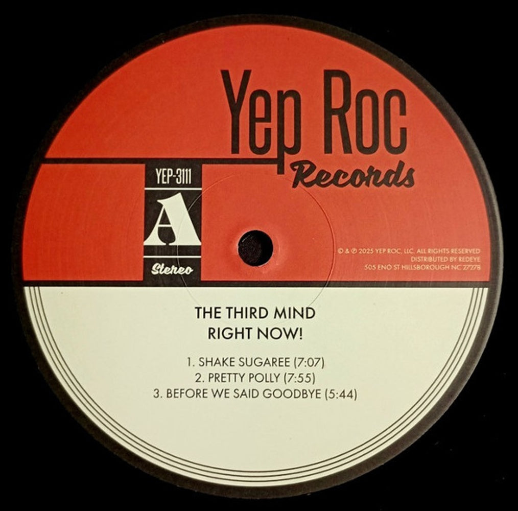 The Third Mind – Right Now (LP Vinyl) Vinyl Record