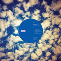 Immersion - Analogue Creatures - 10" Vinyl Record