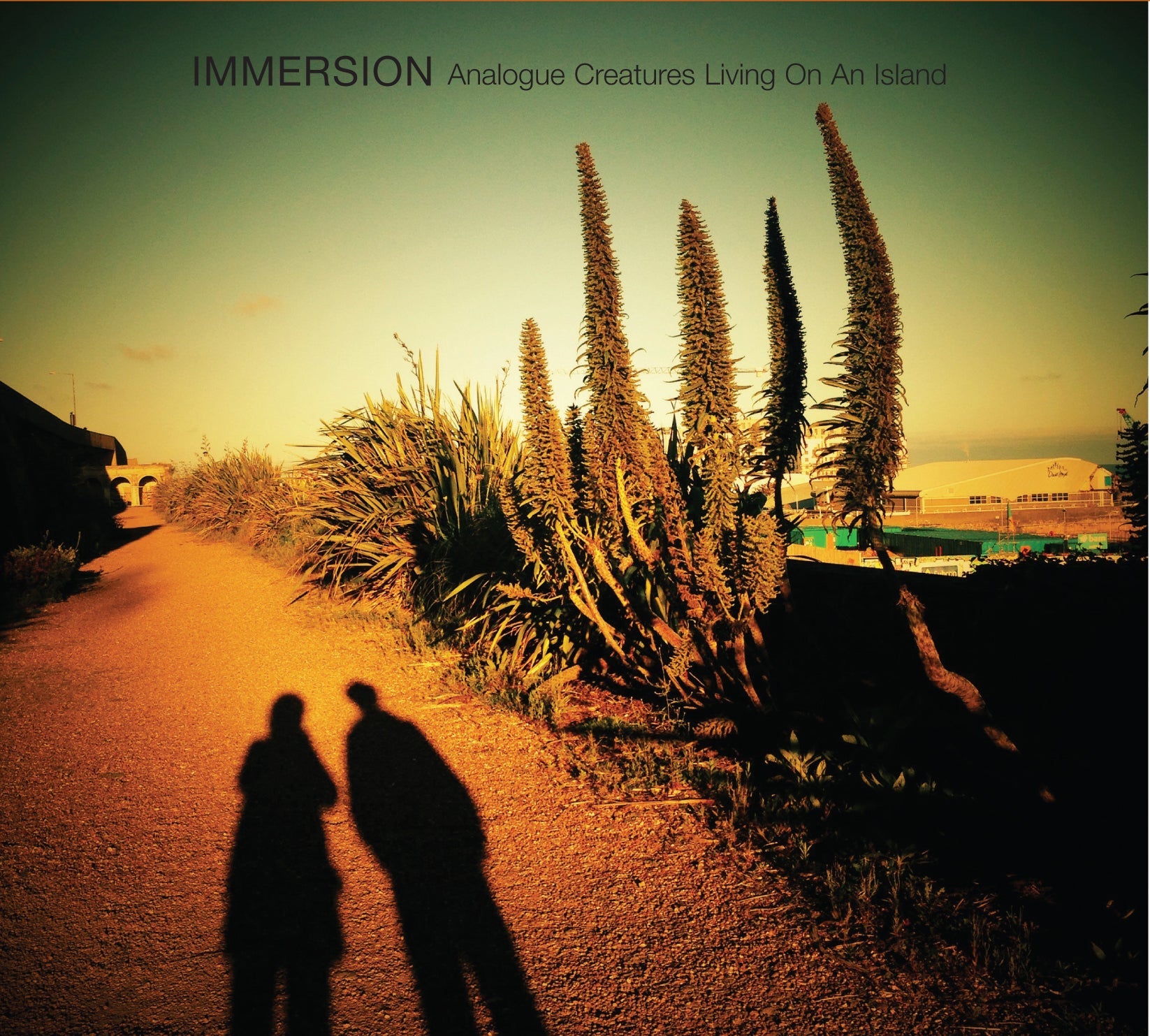 Living On An Island - 10" Vinyl Record