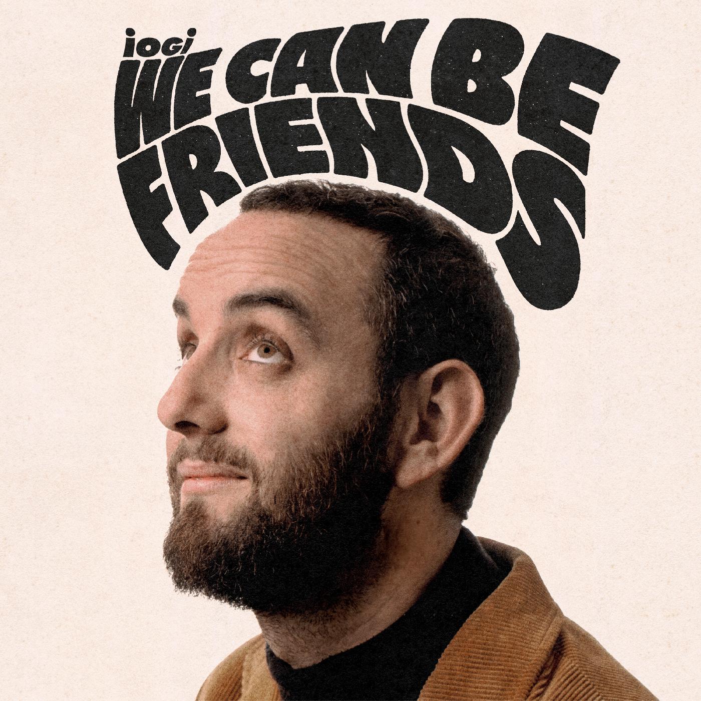 we can be friends Vinyl Record