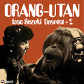 Orangutan |