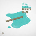 Summer Break Vinyl Record