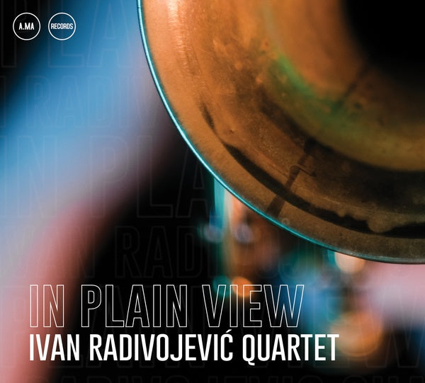 In Plain View Music CD