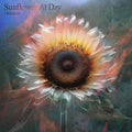 Sunflower At Day Vinyl Record