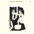 Manual of the Bayonet Vinyl Record