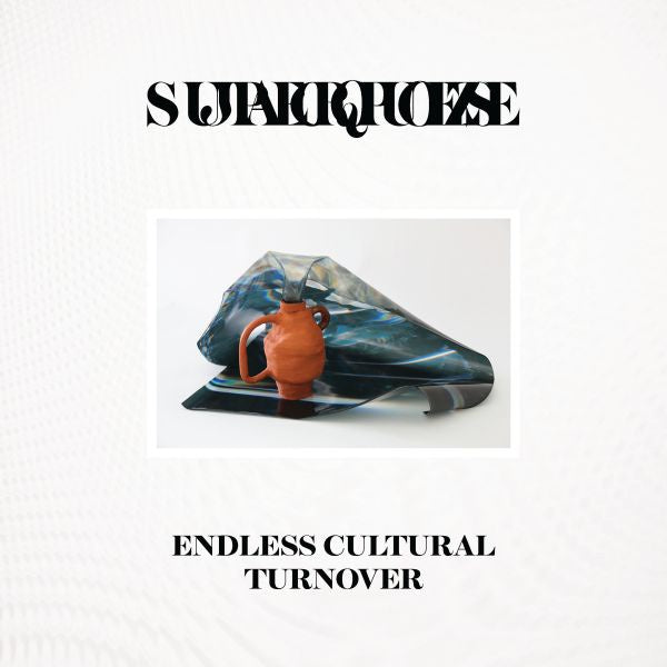 Endless Cultural Turnover Vinyl Record