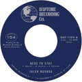 Here to Stay b/w If You Don't Want My Love (Vinyl) Vinyl Record
