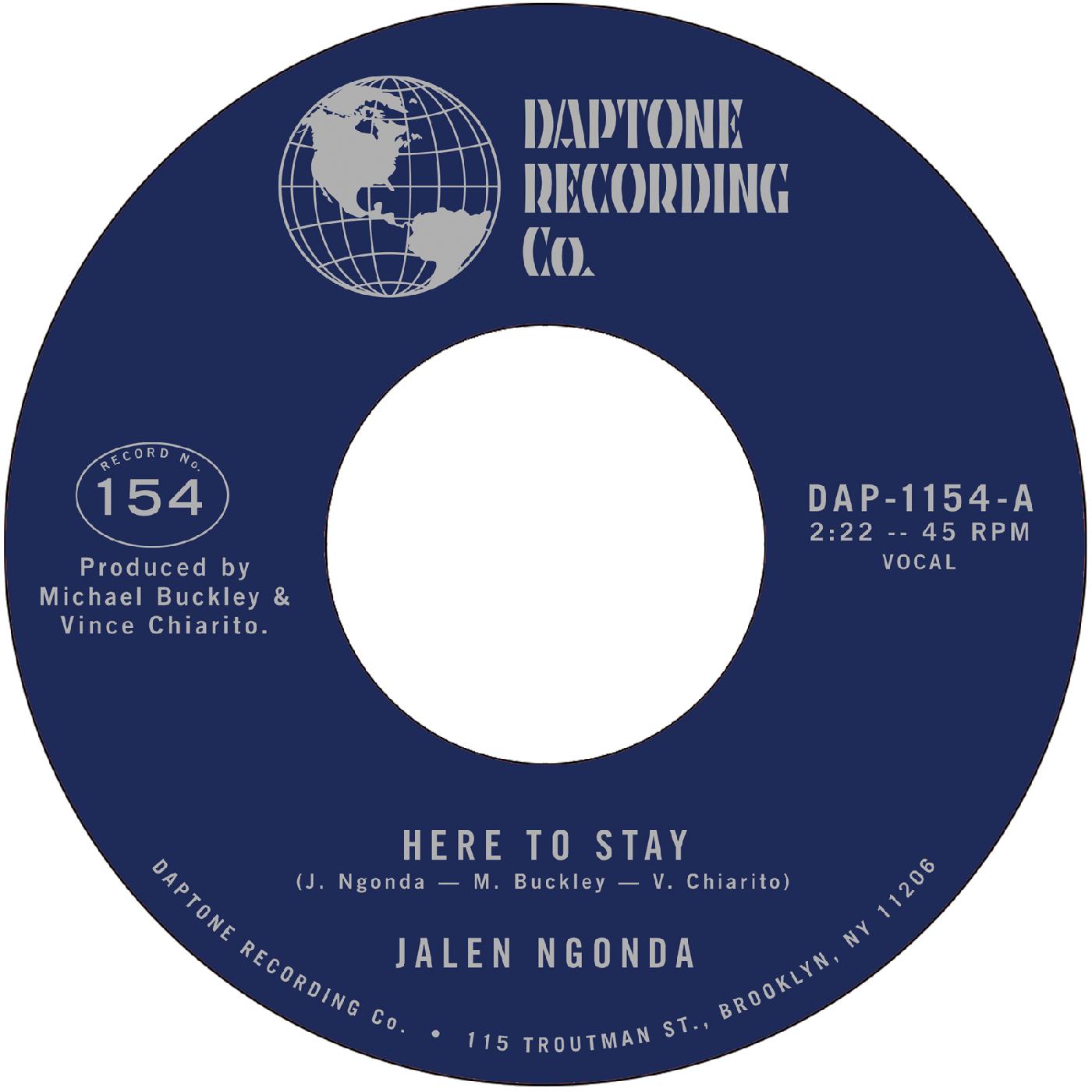 Here to Stay b/w If You Don't Want My Love (Vinyl) Vinyl Record