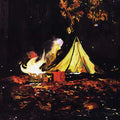 Love Is The Plan, The Plan Is Death Music CD