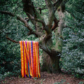 The Animal Spirits Music CD