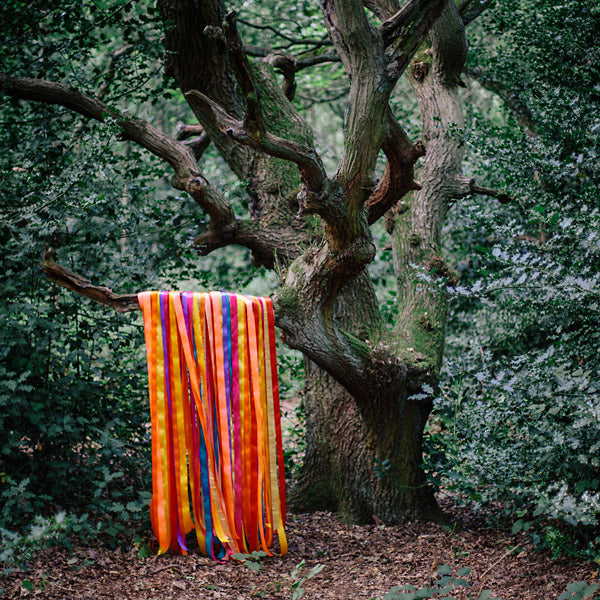 The Animal Spirits Music CD