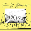 Molocular Meditation Vinyl Record