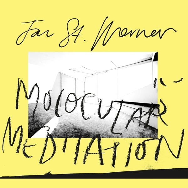 Molocular Meditation Vinyl Record