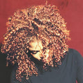 Janet Jackson - The Velvet Rope (2LP) | Mint (M) Mint (M)