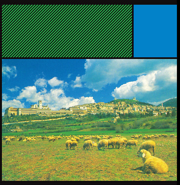 Panisperna Vinyl Record