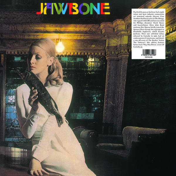 Jawbone Vinyl Record