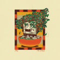 Posy - The Garden |