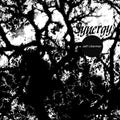 Synergy Vinyl Record