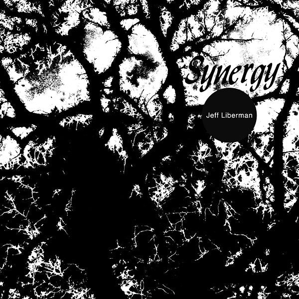 Synergy Vinyl Record