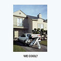 We Cool Vinyl Record