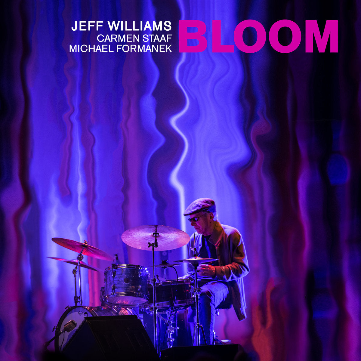 Bloom Vinyl Record