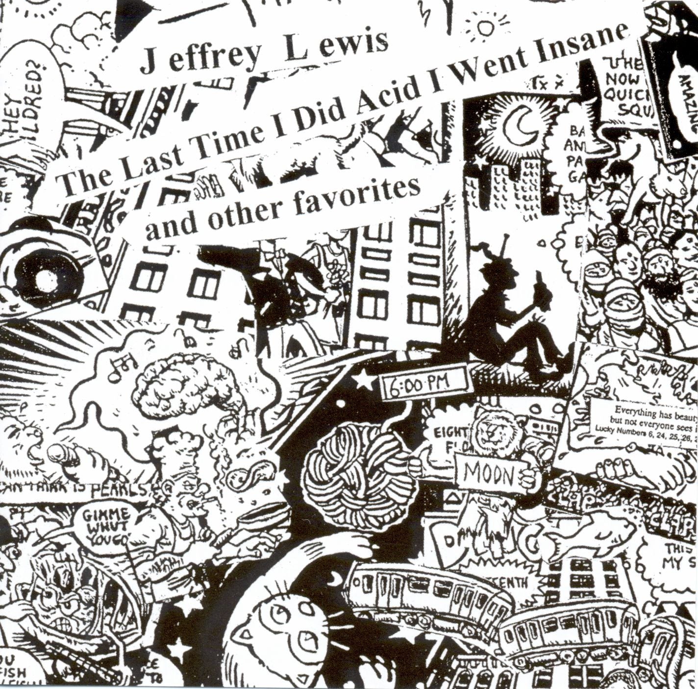 Jeffrey Lewis - The Last Time I Did Acid I Went Insane Vinyl Record