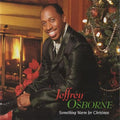 Something Warm For Christmas (Christmas Tree Green Vinyl) (Limited Edition) (Vinyl) Vinyl Record