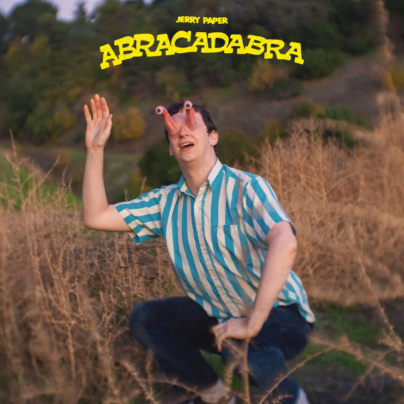 Abracadabra Vinyl Record