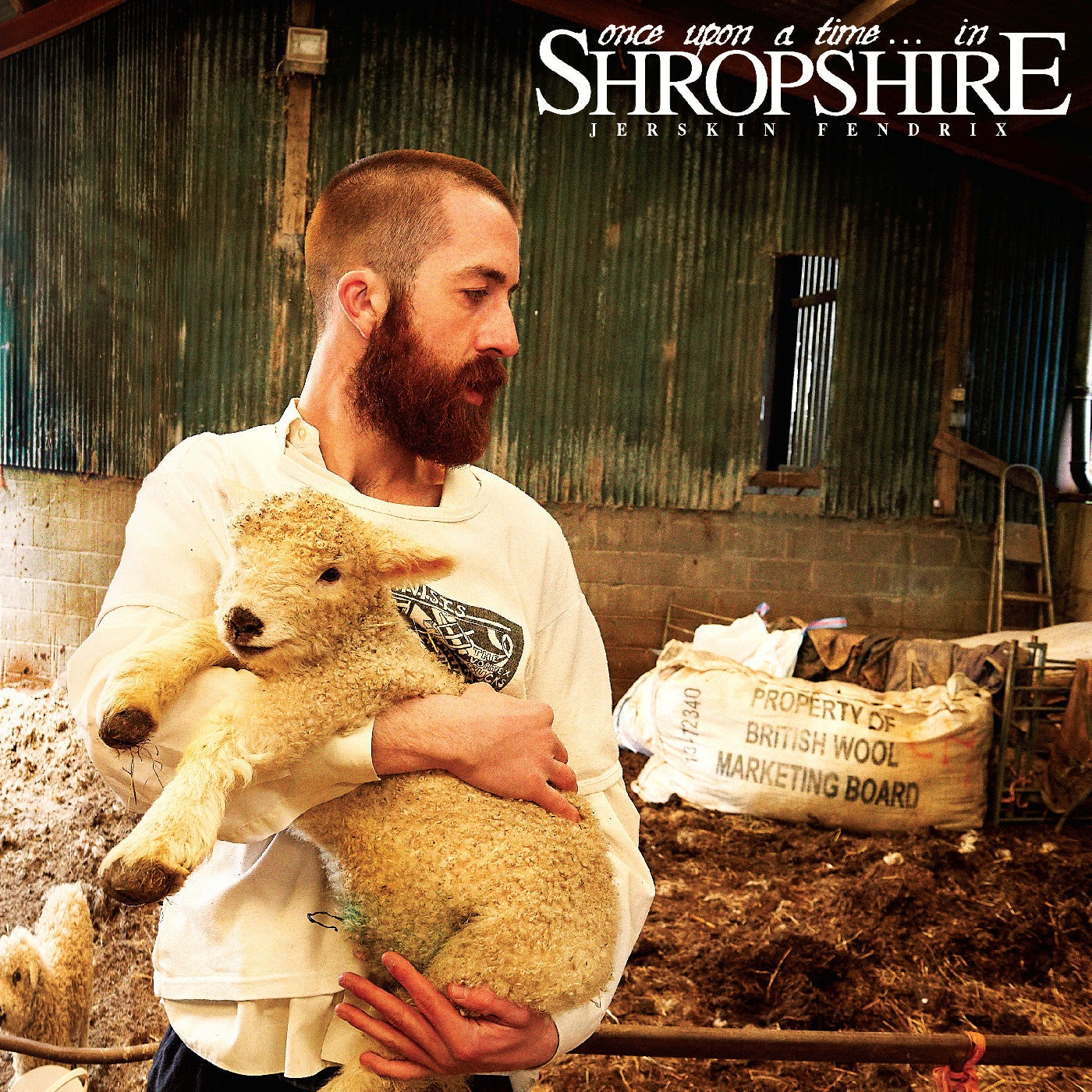 Once Upon A Time. . . In Shropshire (Shropspire Mud Brown Vinyl) Vinyl Record