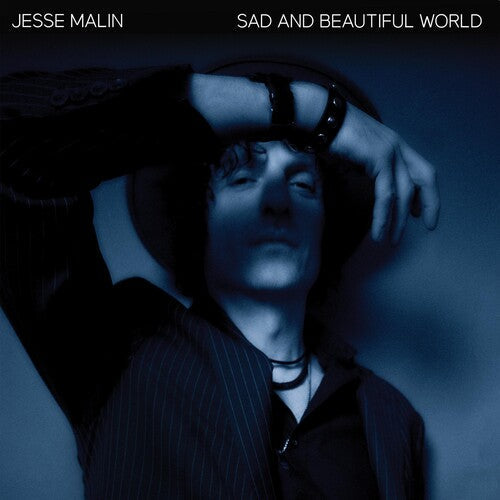 Sad And Beautiful World (2 Lp's) Vinyl Record