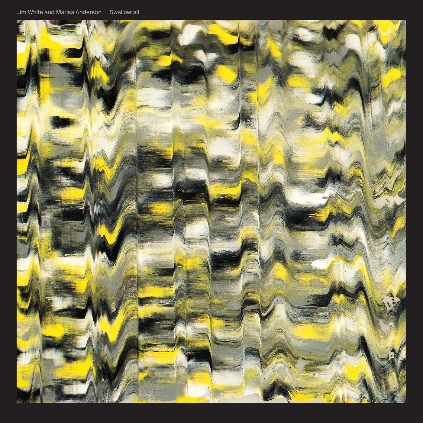 Swallowtail Vinyl Record