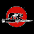 Jim Jones All Stars - Cat Fight |
