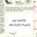 No Such Place Vinyl Record