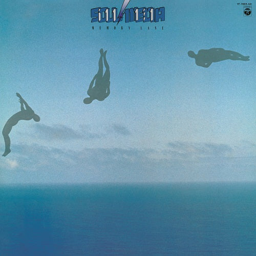 Memory Lane Vinyl Record