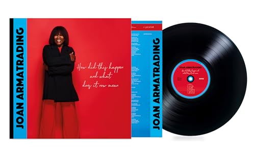 How Did This Happen and What Does It Now Mean [LP] Vinyl Record
