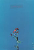 & THE YS STREET BAND EP |