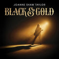 Black & Gold [180G Color Lp] Vinyl Record