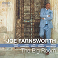 The Big Room Vinyl Record