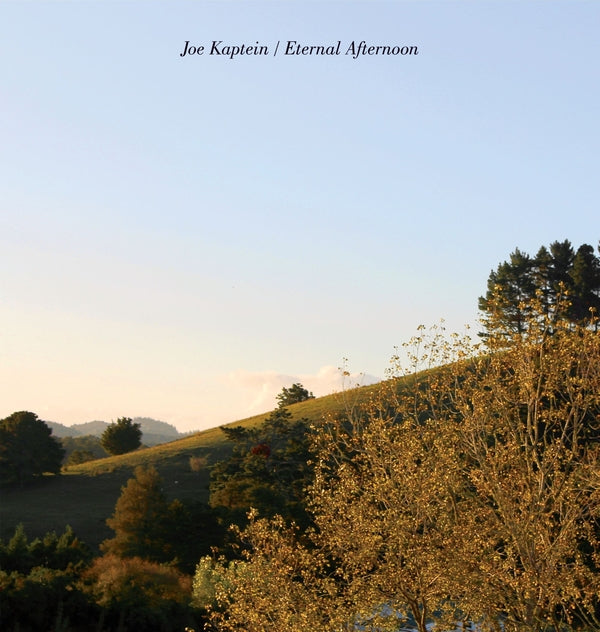 Eternal Afternoons Vinyl Record
