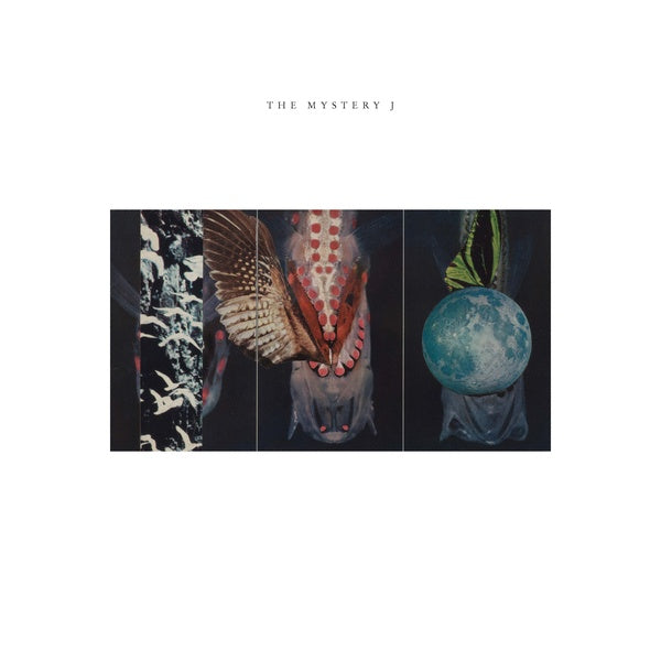 The Mystery J Vinyl Record
