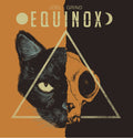 Equinox Vinyl Record