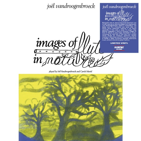 Images of Flute in Nature Vinyl Record