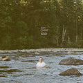 SOLO Music CD